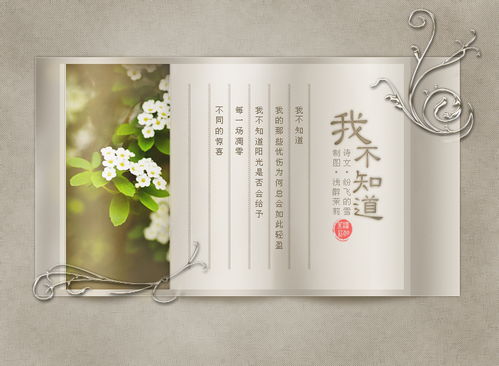 图文设计 视觉语言与创意的融合艺术